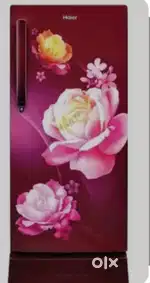 An Unused Haier Fridge