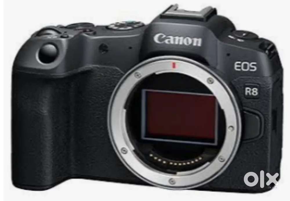 Canon r8 only body