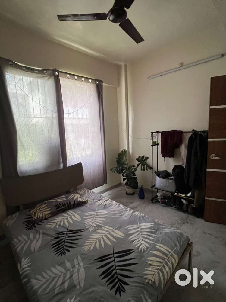 Looking for a female flatmate