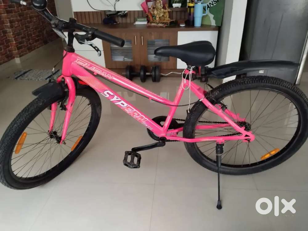 Brand new ladies cycle