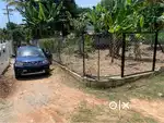 5 Cent land for sale
