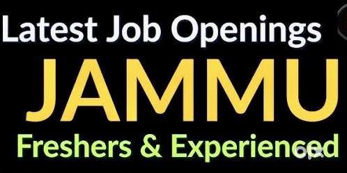 Jobs in Jammu Hurry Up Less Vacancies