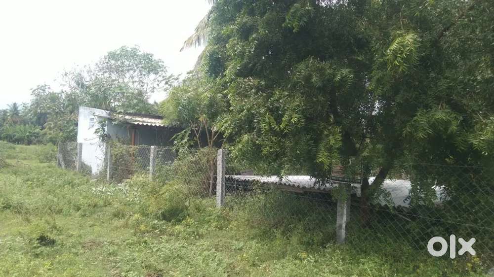 Vacant site for sale near Arachaloor