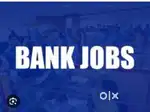Bank verification field executive