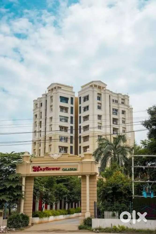 Wantded south indian cook (north indian cook) must wanted