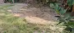 5 Cent Land For Sale Near Asramam Alapuzha Town Are