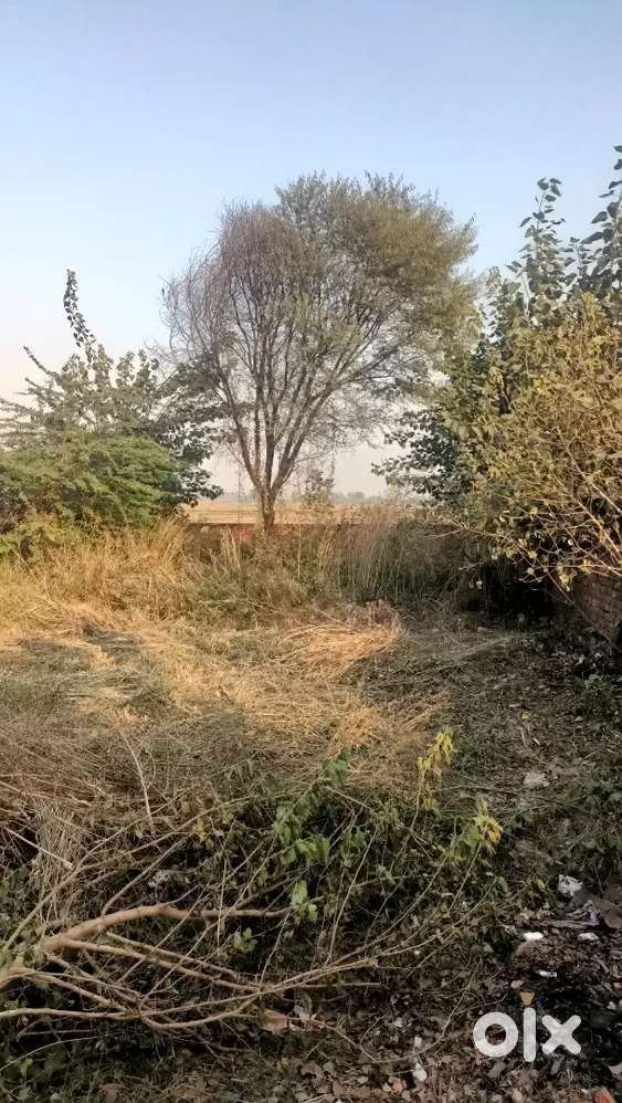 Focal point, Rajpura ( Star enclave)