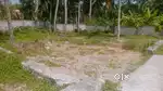 Pallipuram paachira 4,5,6 cent house plot