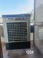 Cooler 1 year old