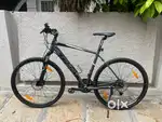 Giant Roam 2 (2019) – L Frame