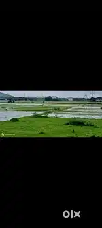 Plot for sale