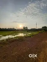 दादर खुर्द मेन रोड़ से लगी आदिवासी प्लॉट बेचना है