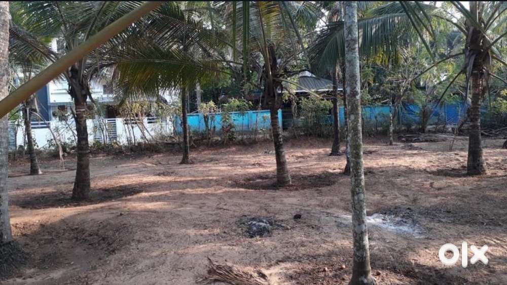 HURRY! Plot for sale