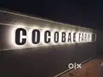 Coconut Farm near Pollachi road