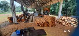 Saw mill for sale