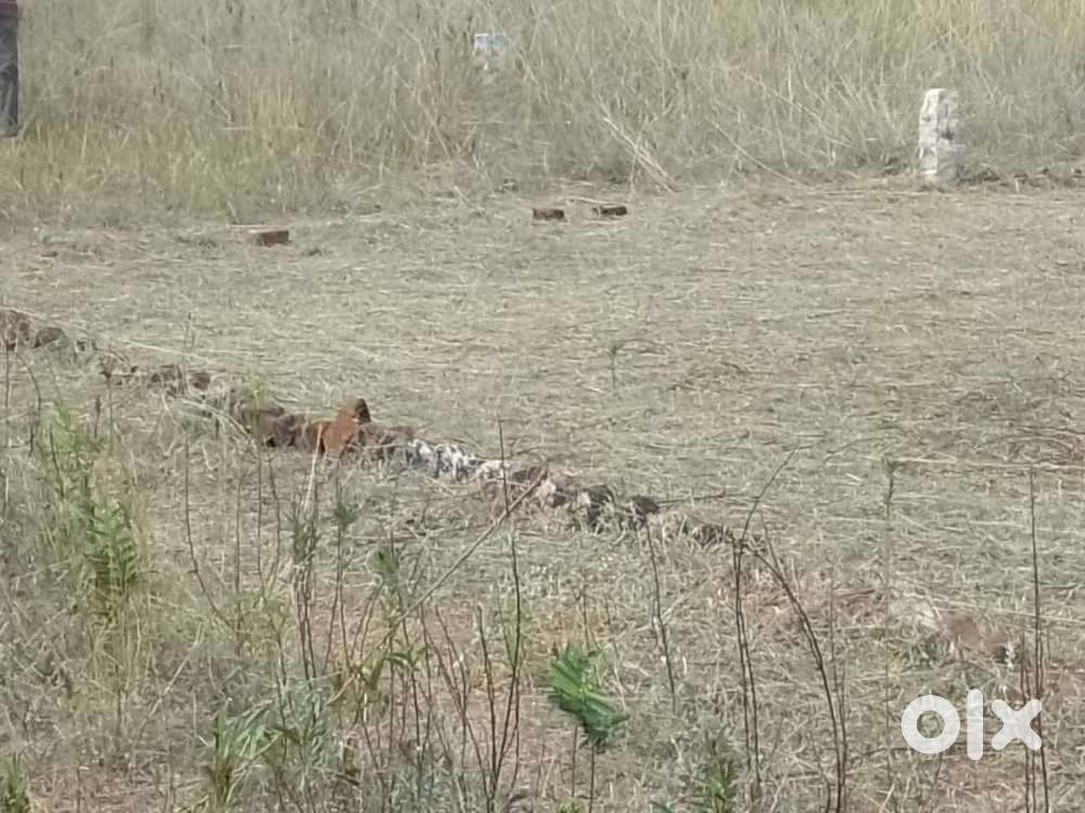 Land for Sale in Sankaran Kovil, Tamilnadu