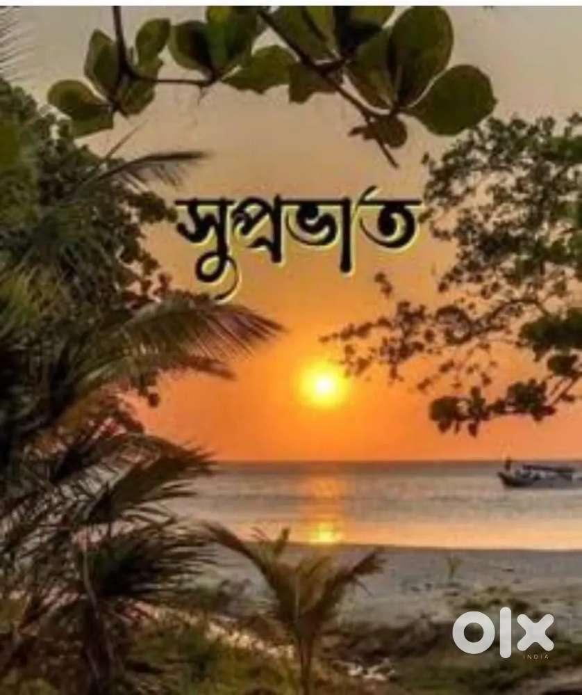 Distributor sales manager