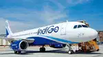 Male and female hiring for airport job