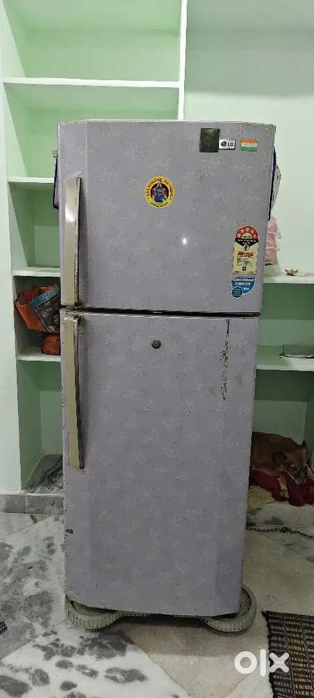 Refrigerator lg model is 2010 255V A5