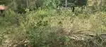 7 CENT PLOT FOR SALE