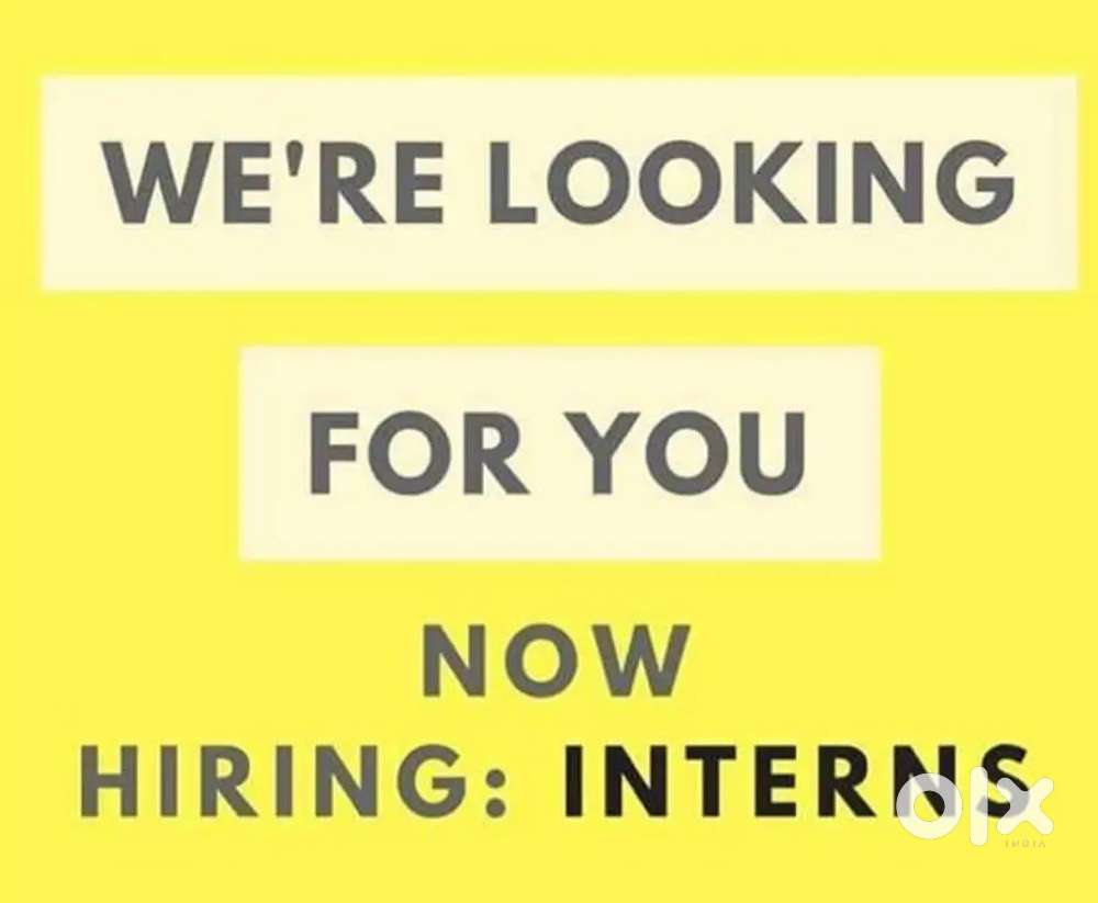 Project Officer (interns)