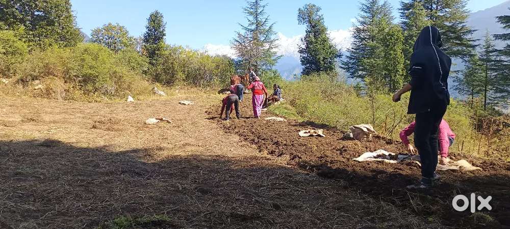 Plot for sale Bhauwala Dehradun