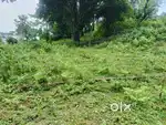 Rawat property