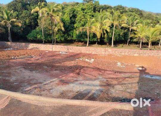 3.50 guntha agriculture plot for sell at karla juve ratnagiri