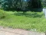 3.5 -cent rectangular Residential plot/land for sale
