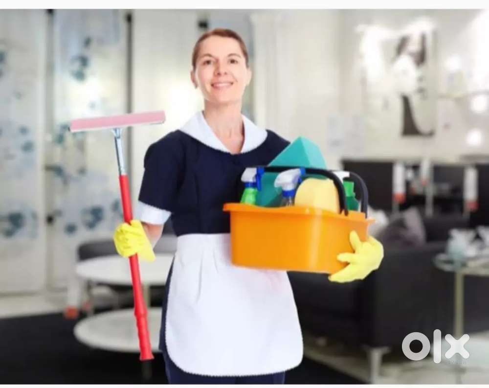 Ghar ke kaam ke liye maid chahiye.