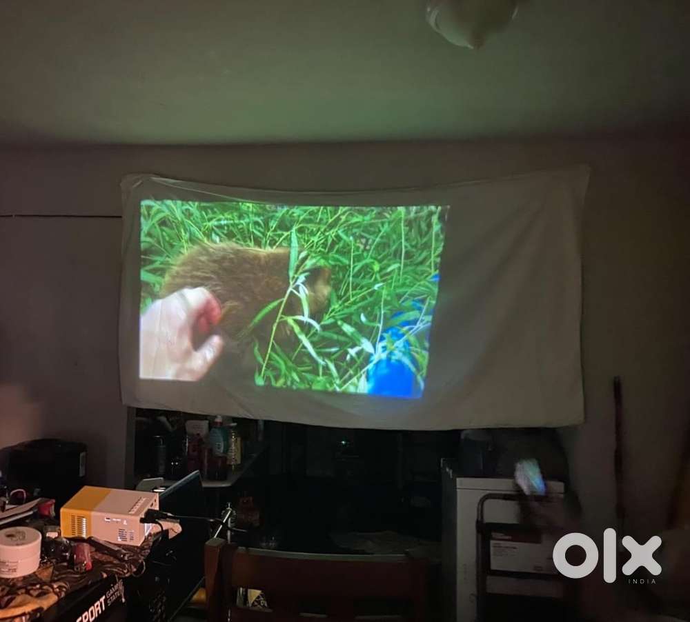 Mini projector