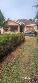 Independent Assam type House for rent