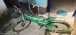 Gang Cycle