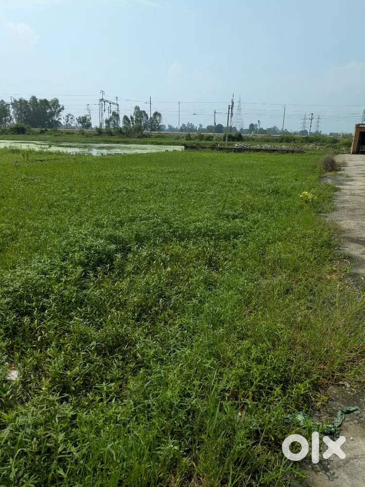Plot 600 m from hotel pacific