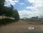 Dtcp approved plot for sale @ Tirunelveli pettai