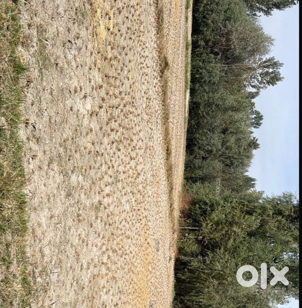 Corner plot with 20 foot road in sidhra