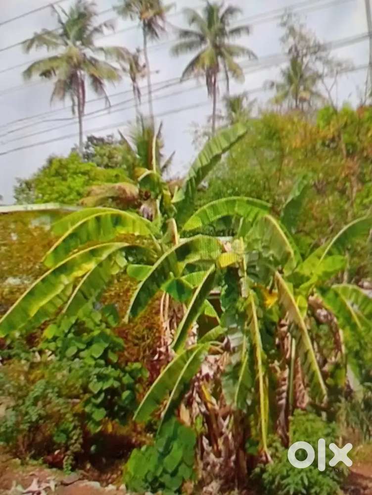 We have land with we prepare to plan to do a 1250sq.home ..