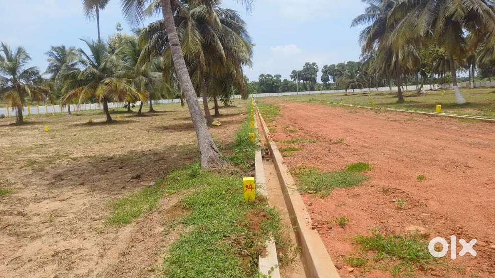 International airport bhogapuram nearby perapuram vempadam village