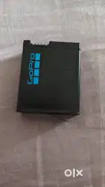 Go Pro Enduro Batteries and dual charger.