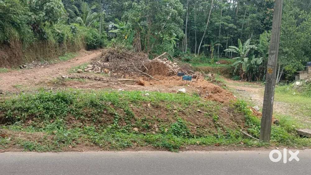 Main road side Plot with poultry farm