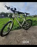 Bergamount
