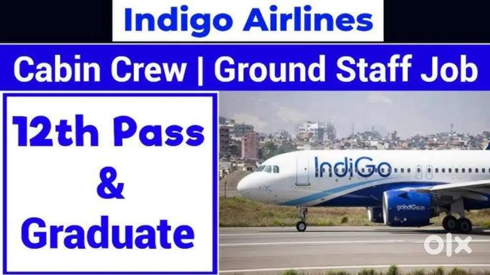 Apply fresher 10th 12th pass/ H