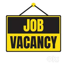 Job for Electrician, CCTV Camera, Computer Operators
