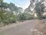 35 CENT ORGINAL LAND FOR SALE IN KAKKANAD INFOPARK JUST 500 MTR