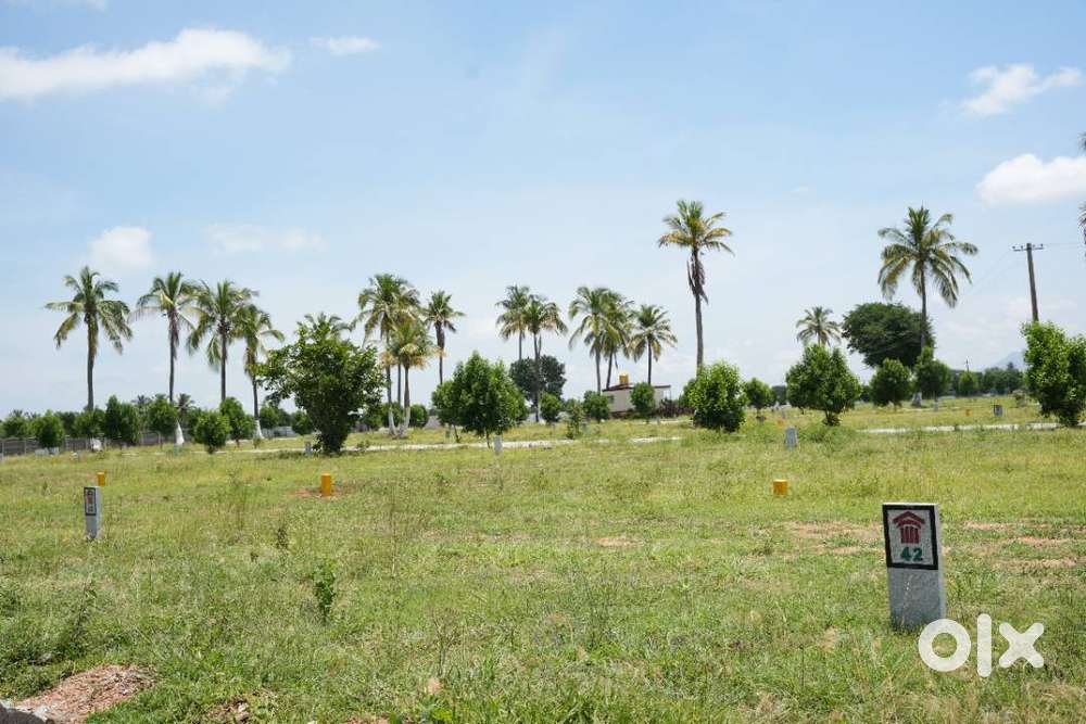 Sunrise – Not Just a Plot, It's a Smart Investment