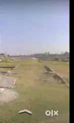 Shandar plot