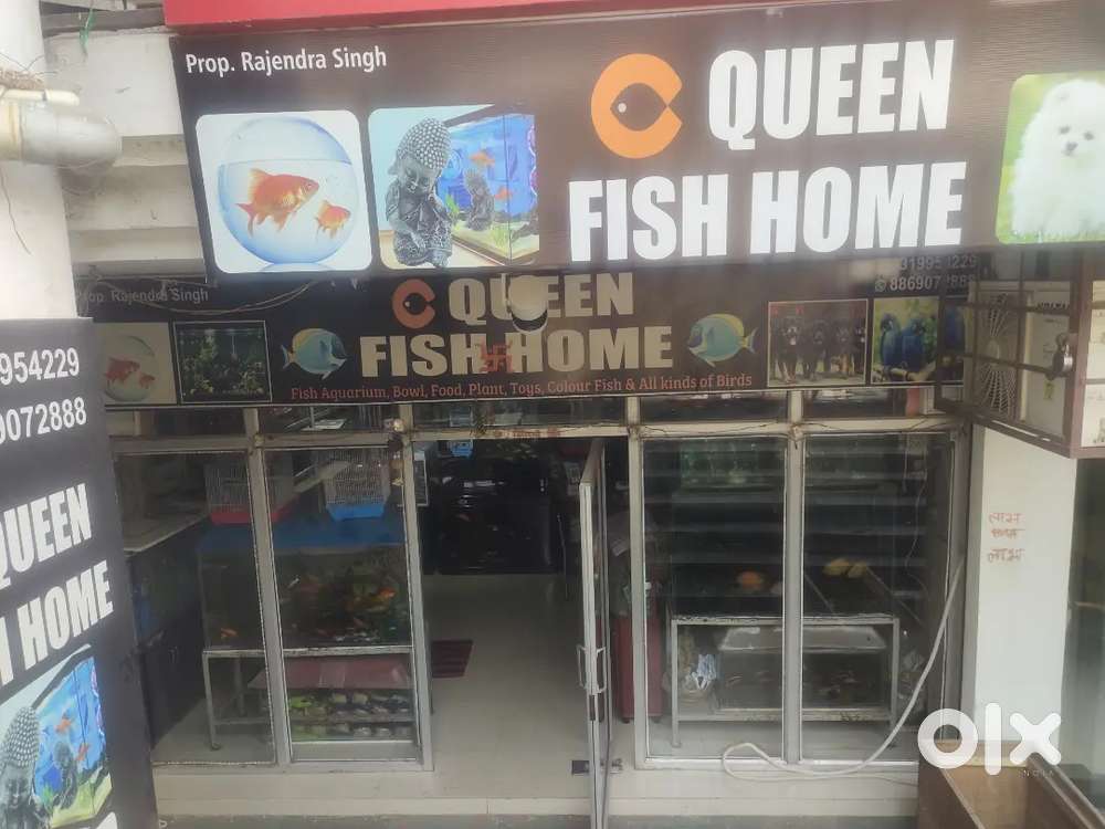 NEED helper at shop near Kargil petrol pump