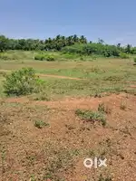 Plain land 2400 Sq ft