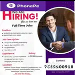 Phone pe Business Sales executive