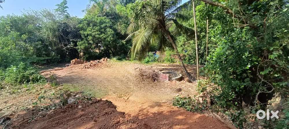 PLOT FOR SALE IN PUZHATHI, PUTHIYATERU